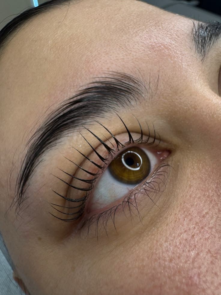 Lashlift coréen